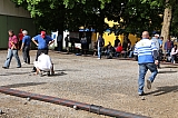cgtt_thonex_130509_38.jpg cgtt_thonex_130509_38.jpg