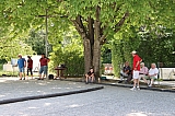cgtm_onex_20220618_016.jpg cgtm_onex_20220618_016.jpg