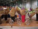 hivernal-d_fin-podium_25_08.jpg hivernal-d_fin-podium_25_08.jpg