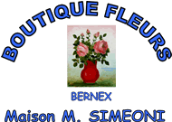 Simeoni fleurs