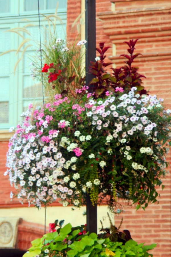 cmj_montauban_2013_7.jpg