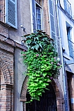 cmj_montauban_2013_17.jpg cmj_montauban_2013_17.jpg