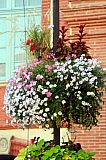 cmj_montauban_2013_7.jpg cmj_montauban_2013_7.jpg
