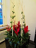 cne_em-dusseldorf_212.jpg cne_em-dusseldorf_212.jpg