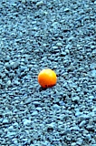 IMG_4256.jpg IMG_4256.jpg
