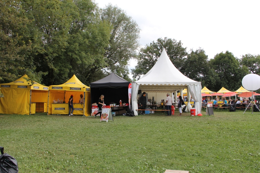 CSD_Carouge_130825_14.jpg