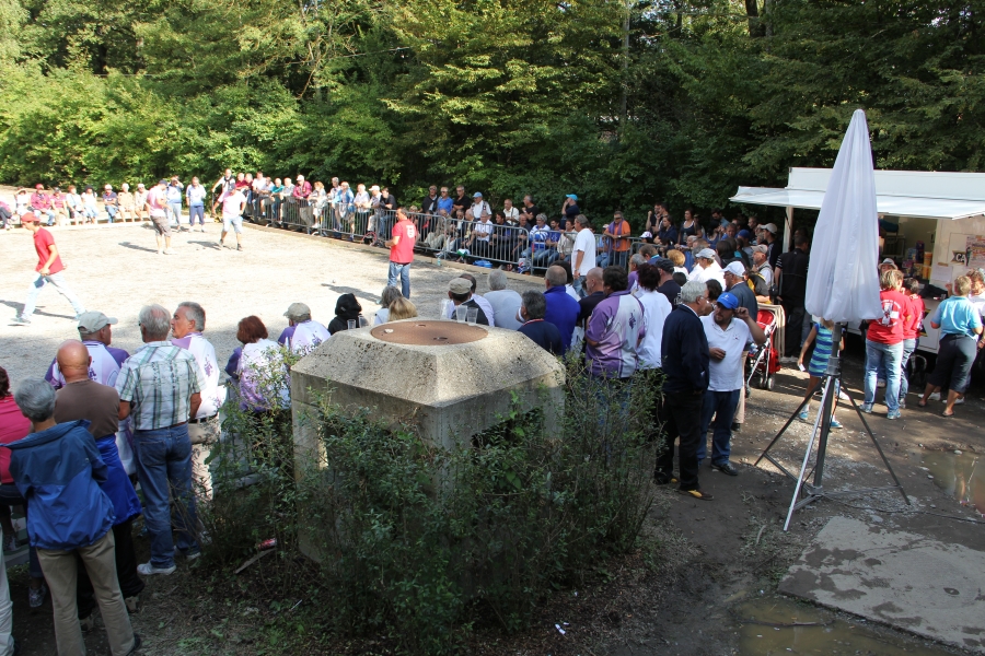 CSD_Carouge_130825_160.jpg