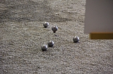 cep-q6_geneve_2017-07-29_bm-320.jpg cep-q6_geneve_2017-07-29_bm-320.jpg