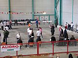 3e-Hivernal-J-120311_bm3.jpg 3e-Hivernal-J-120311_bm3.jpg