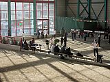 3e-Hivernal-J-120311_bm6.jpg 3e-Hivernal-J-120311_bm6.jpg