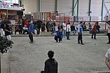 3e-Hivernal-J-120311_at15.jpg 3e-Hivernal-J-120311_at15.jpg