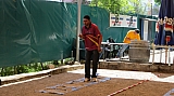 cgtp_euroboules_130630_1.jpg cgtp_euroboules_130630_1.jpg
