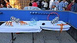 cgtp_euroboules_130630_70.jpg cgtp_euroboules_130630_70.jpg