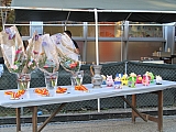 onesienne_2017-05-14_069.jpg onesienne_2017-05-14_069.jpg