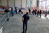 masters_181124_061.jpg masters_181124_061.jpg