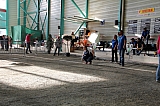 masters_181124_209.jpg masters_181124_209.jpg