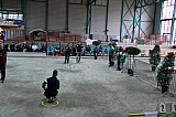 masters_181125_046.jpg masters_181125_046.jpg