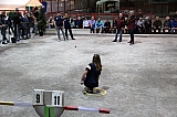 masters_181125_359.jpg masters_181125_359.jpg