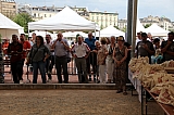 cep-group-D_190726-bm_182.jpg cep-group-D_190726-bm_182.jpg