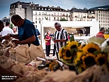 cep-group-d_190726-fc_013.jpg cep-group-d_190726-fc_013.jpg