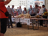 cep-group-d_190726-rd_057.jpg cep-group-d_190726-rd_057.jpg