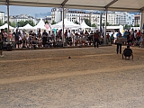cep-group-D_190727-rd_003.jpg cep-group-D_190727-rd_003.jpg