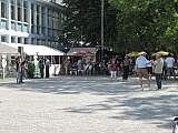 cgtm_20110529_bm_44.jpg cgtm_20110529_bm_44.jpg