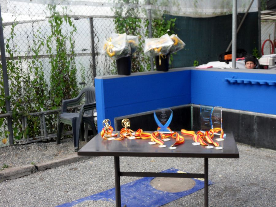 cgtp_2011-07-010_ts_1.jpg