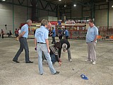 ASIP_100320-2.jpg ASIP_100320-2.jpg