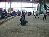 IMGP1755.jpg