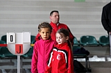 hivernal-j_140126_17.jpg
