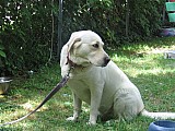 cgtm_09614_rob-138.jpg cgtm_09614_rob-138.jpg