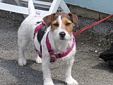 cgtm_09614_rob-192.jpg cgtm_09614_rob-192.jpg