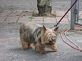 cgtm_09614_rob-197.jpg cgtm_09614_rob-197.jpg