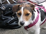cgtm_09614_rob-200.jpg cgtm_09614_rob-200.jpg